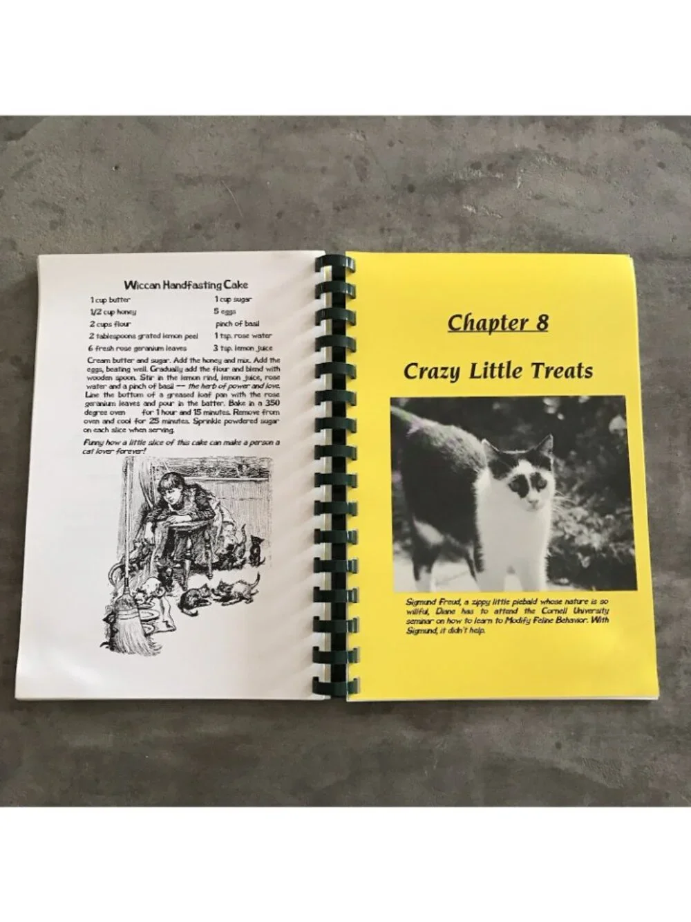 The Albert Stevens Inn The Cats Meow Cookbook Recipes Spiral Bound Cape May NJ